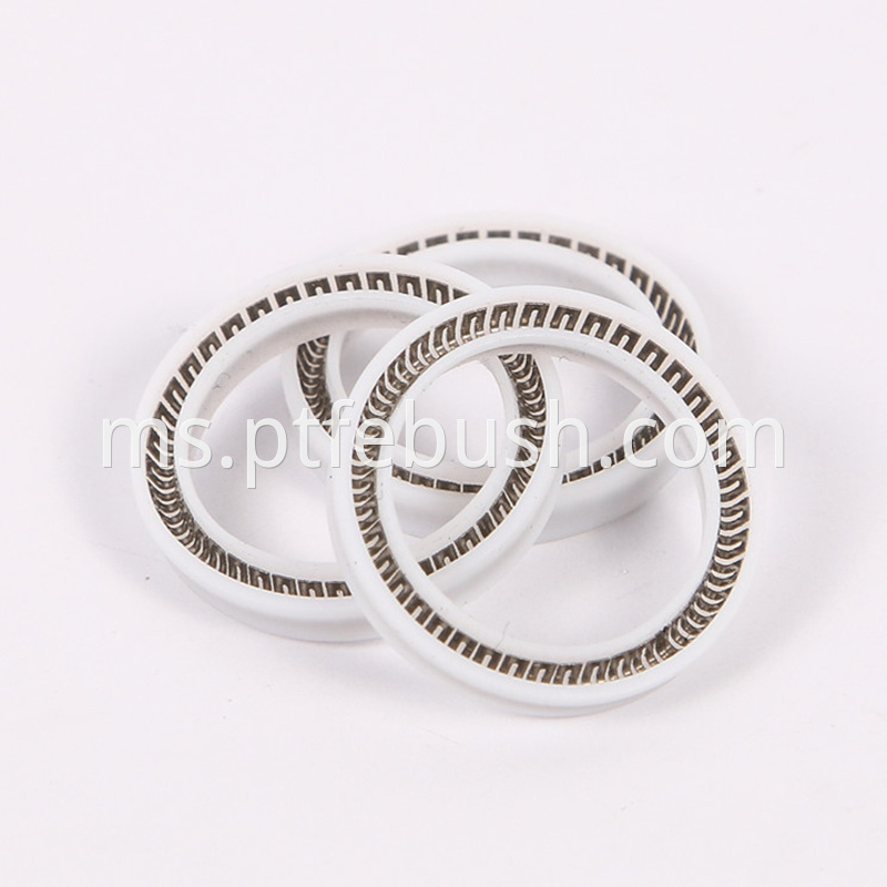 Spring Energized Seal 7